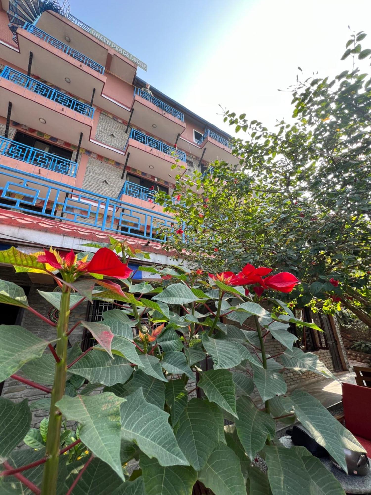 Little Pilgrim Family Lodge Pokhara Exterior photo